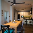 Ventilateur Plafond avec lampe Irene 152cm Noir