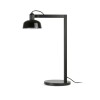 Lampe TATAWIN 1x15W E27 G45 Noir Satiné Noir Brillant FARO 20337-117