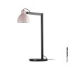 Lampe VENICE 1x15W E27 Noir Satiné Rose FARO 64276-113