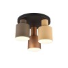 Plafonnier AGUDO 3x40W Multicolor TRIO LIGHTING 619430317