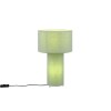 Lampe BALE 2x10W Vert pistache TRIO LIGHTING 505200149