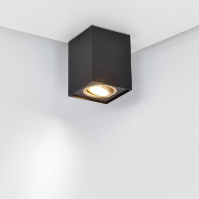 Plafonnier BISCUIT 1x35W Noir Or TRIO LIGHTING 613000180