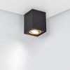 Plafonnier BISCUIT 1x35W Noir Or TRIO LIGHTING 613000180