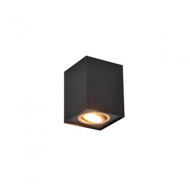 Plafonnier BISCUIT 1x35W Noir Or TRIO LIGHTING 613000180