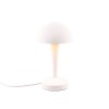 Lampe CANARIA 1x40W Blanc mat TRIO LIGHTING R59561131