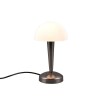Lampe CANARIA 1x40W Noir chrome TRIO LIGHTING R59561120