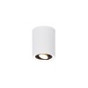 Plafonnier COOKIE 1x35W Noir blanc TRIO LIGHTING 612900134