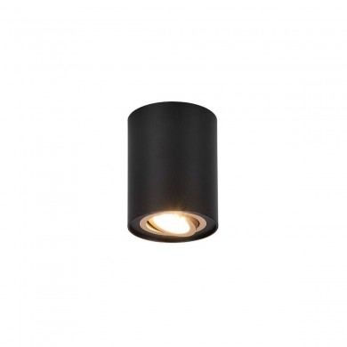 Plafonnier COOKIE 1x35W Noir Or TRIO LIGHTING 612900180