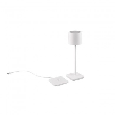 Lampe extérieure FERNANDEZ 1x1W Blanc mat TRIO LIGHTING R54096131