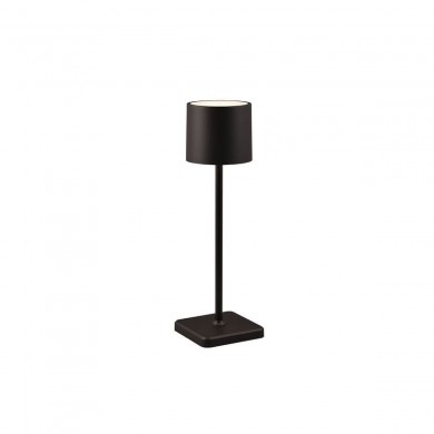 Lampe extérieure FERNANDEZ 1x1W Noir mat TRIO LIGHTING R54096132