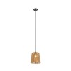 Suspension HOLM 1x10W Brun TRIO LIGHTING R31041026