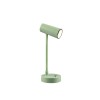Lampe LENNY 1x2W Vert TRIO LIGHTING R52661115