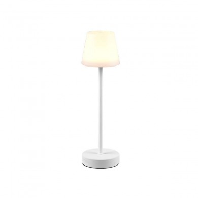 Lampe extérieure MARTINEZ 1x2W Blanc mat TRIO LIGHTING R54086131