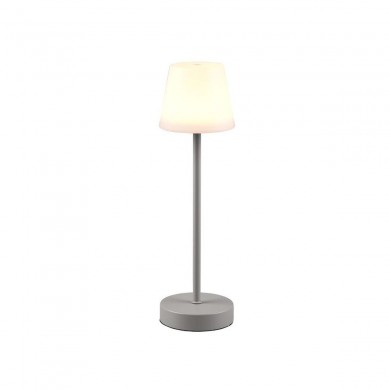 Lampe extérieure MARTINEZ 1x2W Gris Ultimate TRIO LIGHTING R54086177