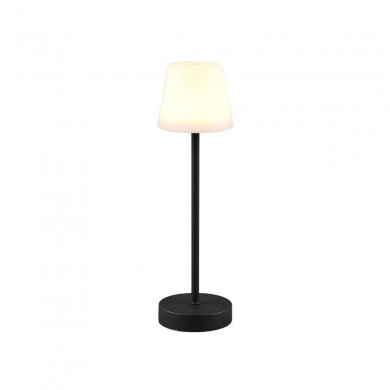 Lampe extérieure MARTINEZ 1x2W Noir mat TRIO LIGHTING R54086132