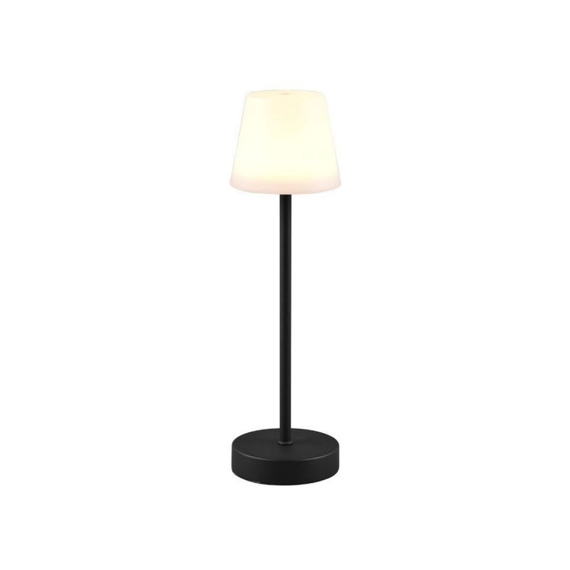 Lampe extérieure MARTINEZ 1x2W Noir mat TRIO LIGHTING R54086132