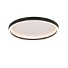 Plafonnier ROTONDA 1x20W Noir mat Rond TRIO LIGHTING R64502132