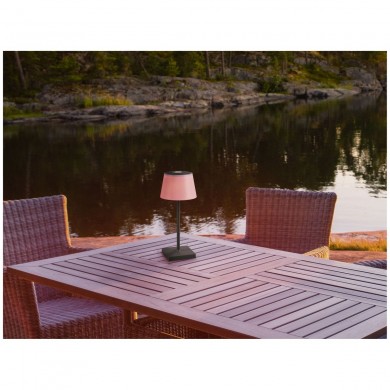 Lampe extérieure SANCHEZ 1x2W Anthracite TRIO LIGHTING R54126142