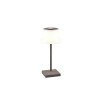 Lampe extérieure SANCHEZ 1x2W Anthracite TRIO LIGHTING R54126142