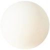 Boule Lumineuse GARDEN 1x60W E27 Blanc BRILLIANT 96341/05