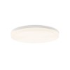 Plafonnier Angus 1X55W LED Blanc - Opale ACB P3979170B