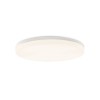 Plafonnier Angus 1X55W LED Blanc - Opale ACB P3979170B