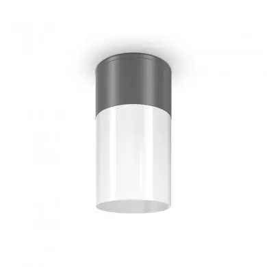 Spot Extérieur Willis 1x60W G45, E27 MAX Graphite MAYTONI O418CL-01GR