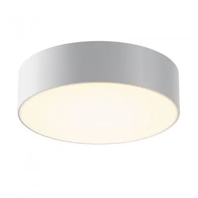 Plafonnier Extérieur Zon IP 30W LED MAX Blanc MAYTONI O431CL-L30W3K