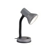 Lampe de bureau JUNIOR 1x40W E27 TITANE BRILLIANT 99122/11