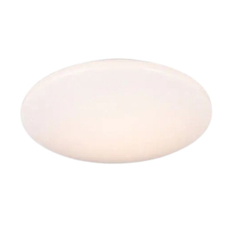 Plafonnier Salle de Bain POLLUX 15W LED Blanc TRIO LIGHTING R67839100