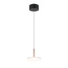 Suspension CELESTE 10W LED Café TRIO LIGHTING 354910165