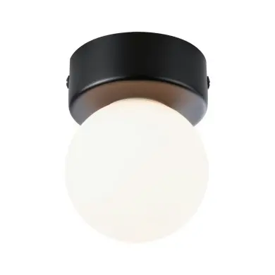 Plafonnier Salle de Bain Selection 20W MAX G9 Noir mat, Satiné Paulmann 71068