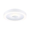 Plafonnier Salle de Bain Volea 3,5 & 13W Blanc, Argent Paulmann 71177