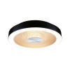 Plafonnier Salle de Bain Volea 3,5 & 13W Noir, Doré Paulmann 71178