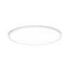 Plafonnier Salle de Bain Atria Shine 22W Blanc Paulmann 71185