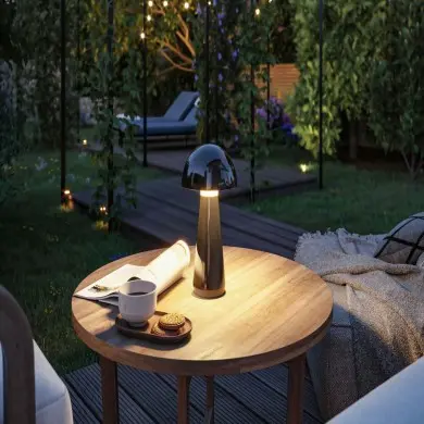Lampe rechargeable Exterieur Onzo 2,6W Noir Paulmann 76994