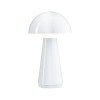 Lampe rechargeable Exteieur Onzo 2,6W Blanc Paulmann 76995