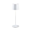 Lampe rechargeable Exterieur Gilo 2,8W Blanc dépoli Paulmann 76997