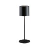 Lampe rechargeable Exterieur Tuni 2,8W Noir mat Paulmann 76998
