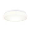 Plafonnier Salle de Bain Axin 18W MAX E27 Blanc Paulmann 78898