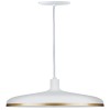 Suspension Neordic Embla 20W MAX E27 Blanc dépoli, Doré Paulmann 79628