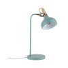 Lampe Neordic Juna 20W MAX E14 Vert satiné, Cuivre, Bois Paulmann 79651
