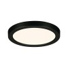 Plafonnier Salle de Bain Areo 6,5W Noir 3000K Paulmann 79960
