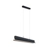 Suspension Noyan 2x24W Anthracite Paulmann 79982