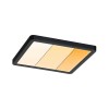 Plafonnier Salle de Bain Areo 13W Noir 2000 - 4000K Paulmann 93101
