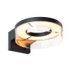 Applique Extérieur Capera 12,5W Anthracite Paulmann 93113