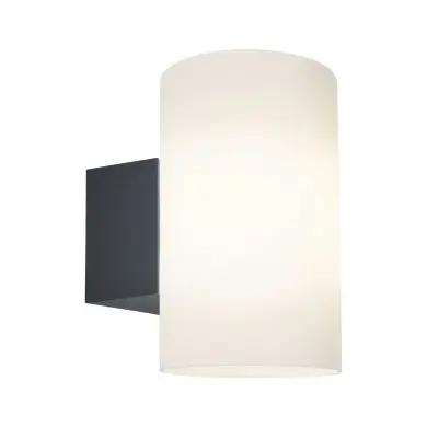Applique Extérieur Tube 15W MAX E27 Anthracite Paulmann 94186