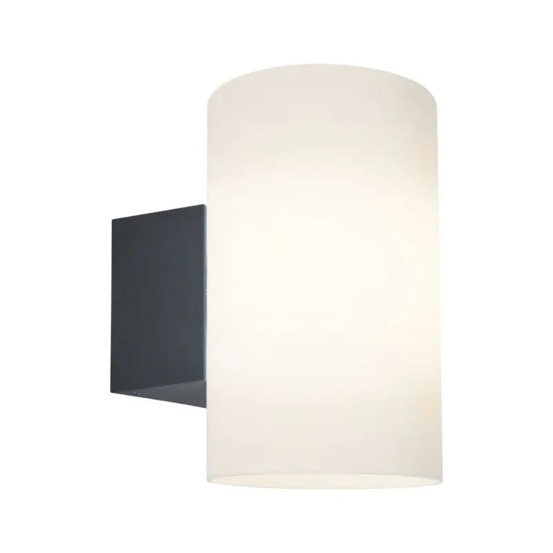 Applique Extérieur Tube 15W MAX E27 Anthracite PAU_94186 94186 Applique Extérieur Tube 15W MAX E27 Anthracite Paulmann 94186