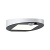 Applique Extérieur Solar Ryse 1,2W Blanc Paulmann 94247