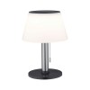 Lampe Extérieur Solar Lillesol 0,8W Acier inoxydable Paulmann 94309